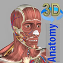 3D 휴먼 해부학