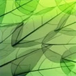 Leafy Structures for Windows