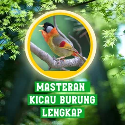 Masteran Kicau Burung Lengkap APK for Android
