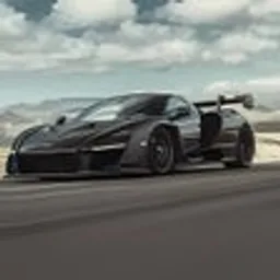 McLaren Senna Track Day