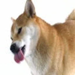 Shiba Inu Dog Licking Screen Cleaner for Windows