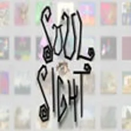 Soul Sight