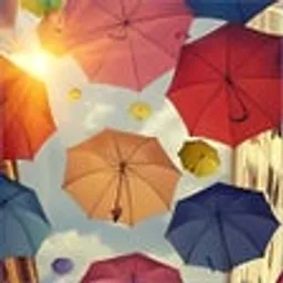 Umbrellas for Windows